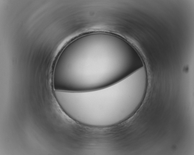 X0000112861288200908211046
