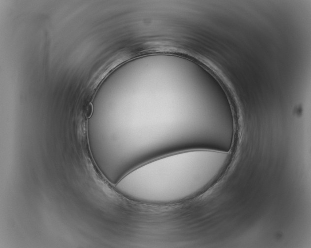 X0000112861289200908211046