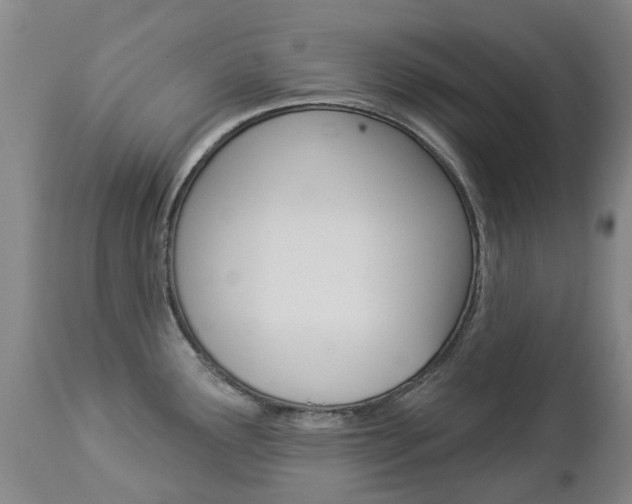 X0000112861291200908211046