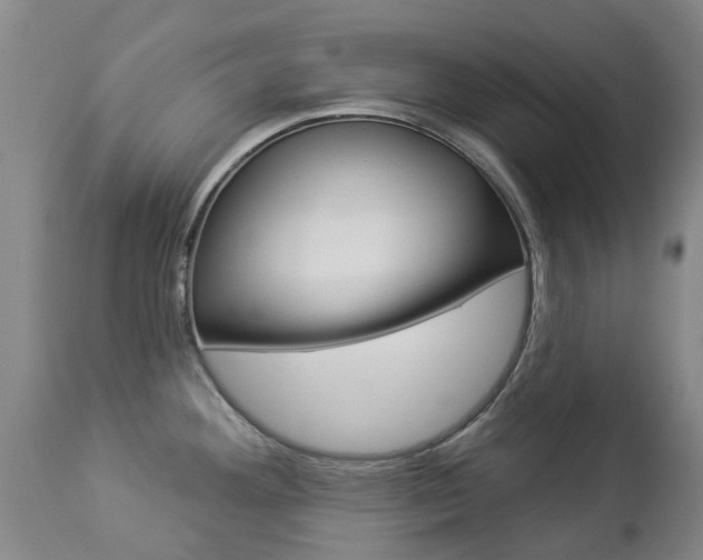 X0000112861292200908211046