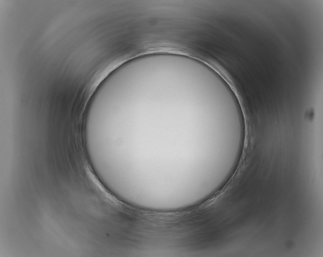 X0000112861293200908211046
