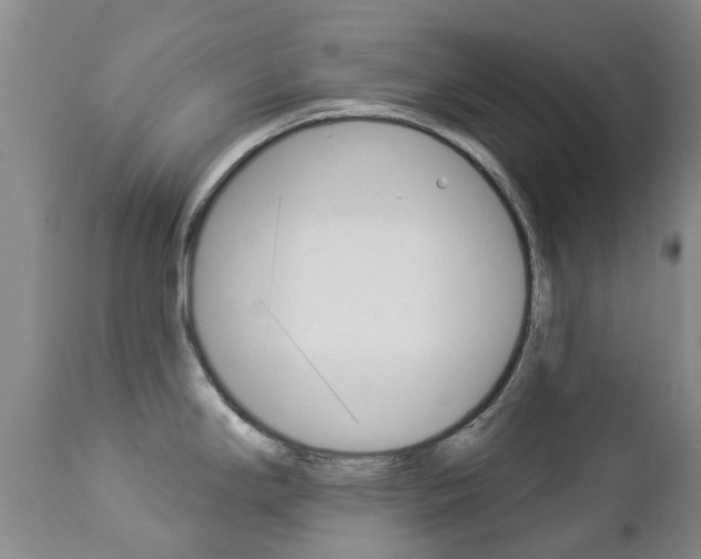 X0000112861294200908211046