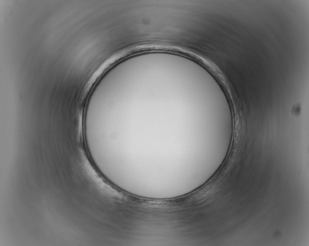 X0000112861295200908211046