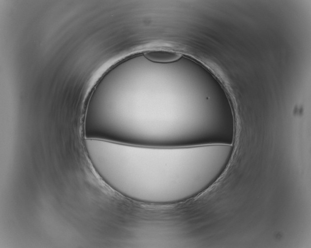 X0000112861296200908211046