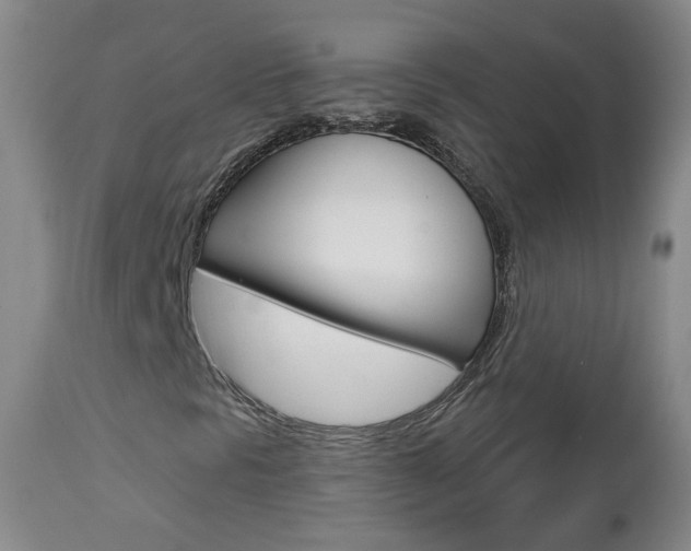 X0000112861297200908211045