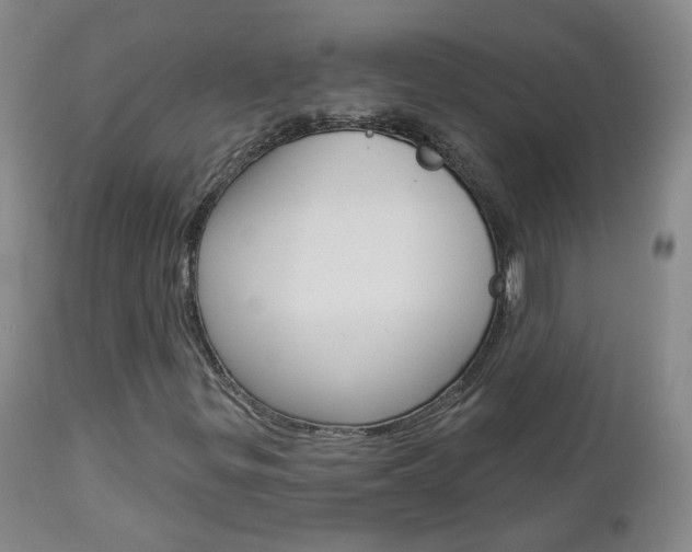X0000112861299200908211045