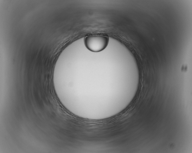 X0000112861300200908211045