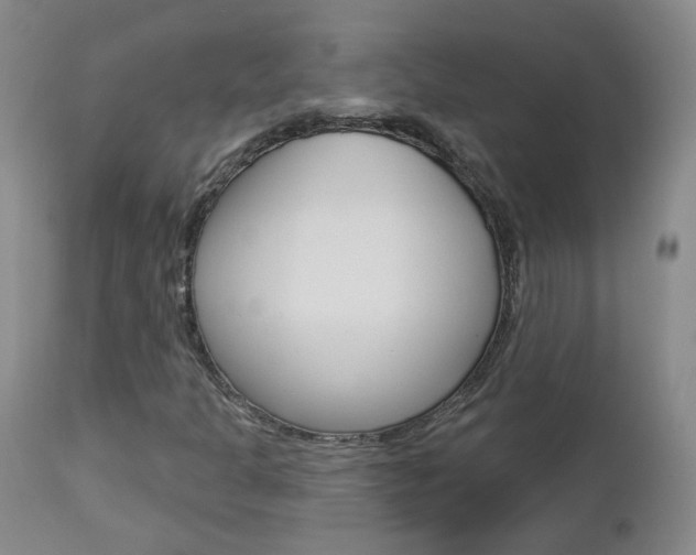 X0000112861301200908211045