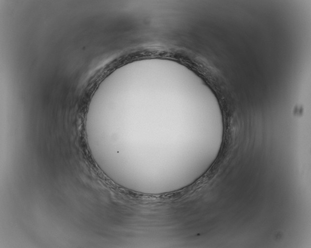 X0000112861302200908211045