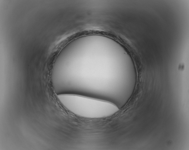 X0000112861303200908211045