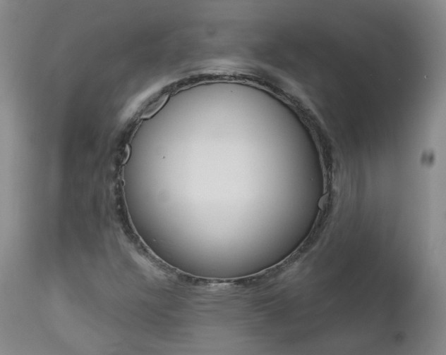 X0000112861304200908211045