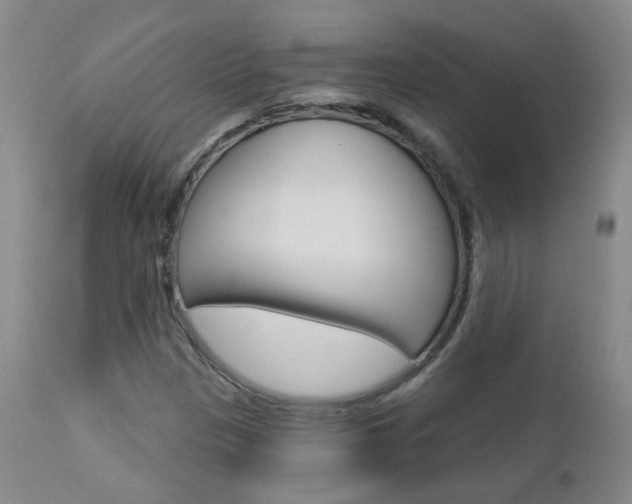 X0000112861305200908211045