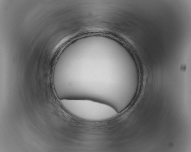 X0000112861306200908211045