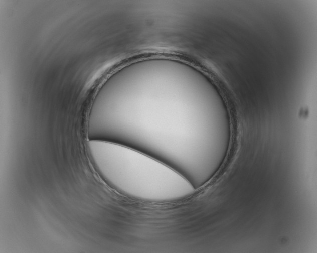 X0000112861307200908211045