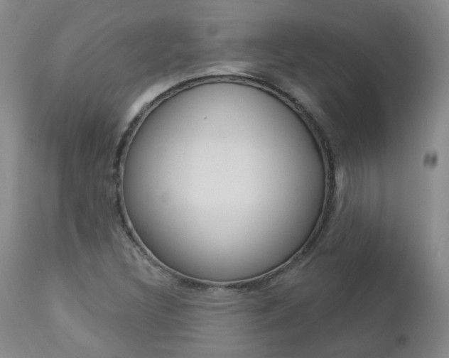 X0000112861308200908211045
