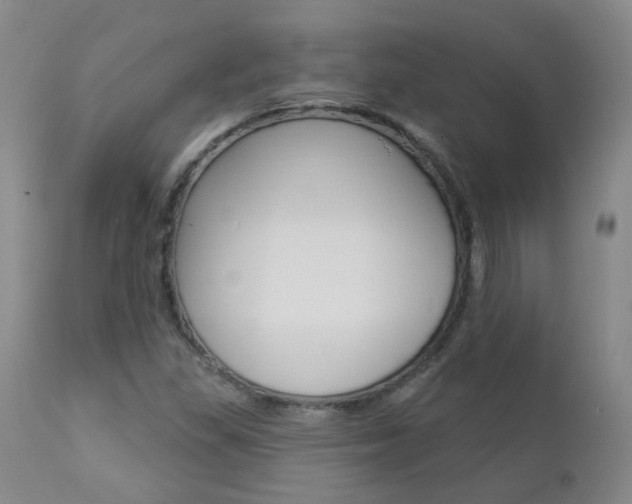 X0000112861309200908211045