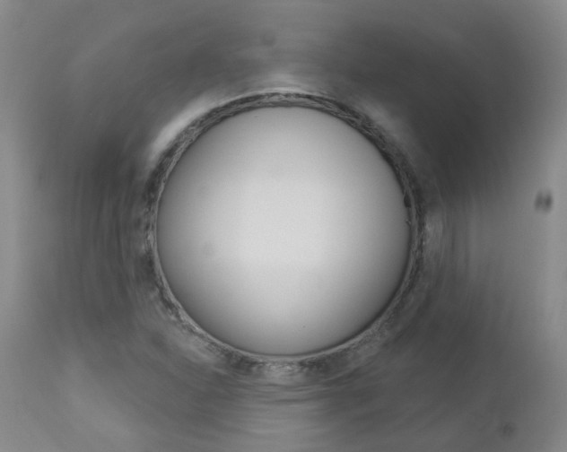 X0000112861310200908211045