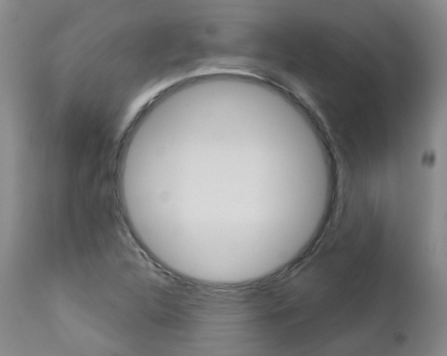 X0000112861312200908211045