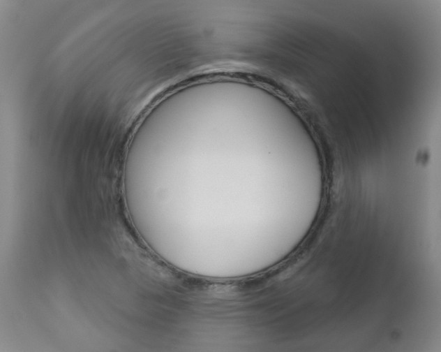 X0000112861313200908211045