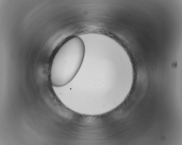 X0000112861314200908211045