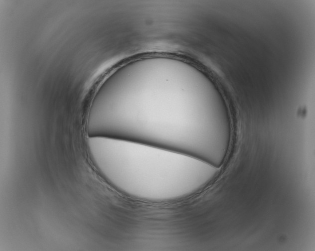 X0000112861315200908211045