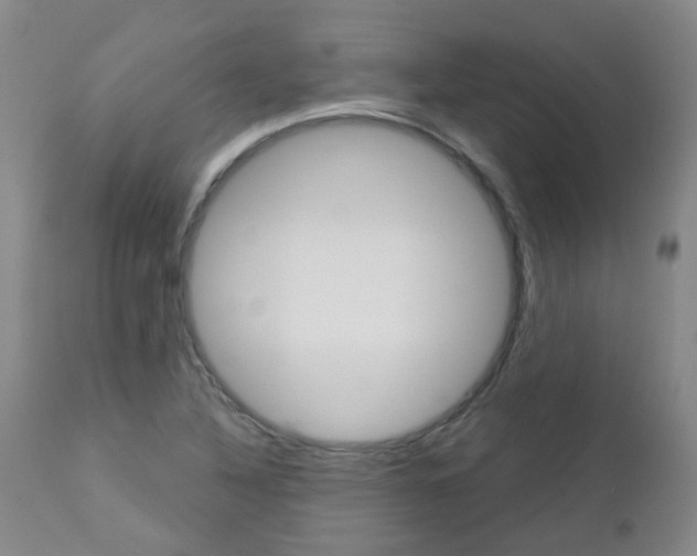 X0000112861316200908211045
