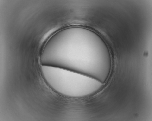 X0000112861317200908211045