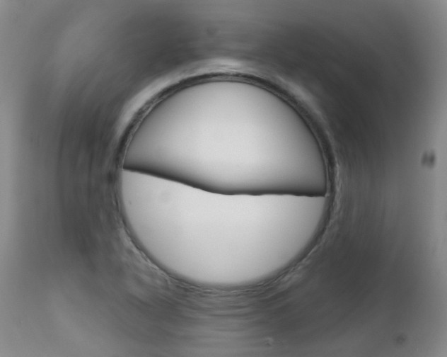 X0000112861318200908211045