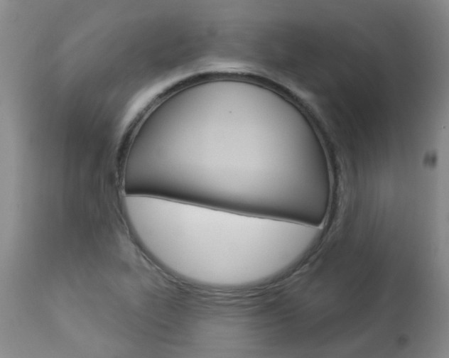 X0000112861319200908211045