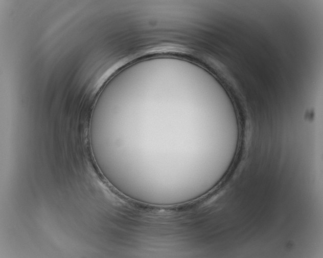 X0000112861321200908211045