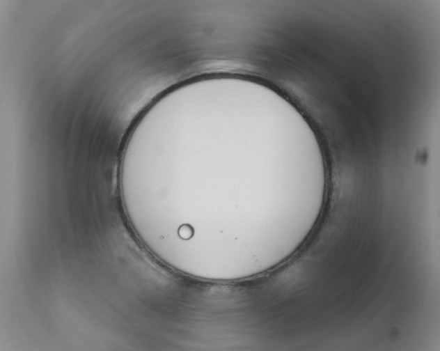 X0000112861322200908211045