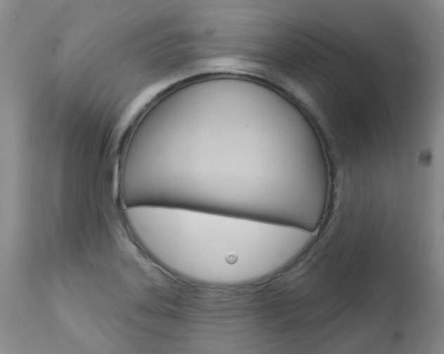 X0000112861323200908211045