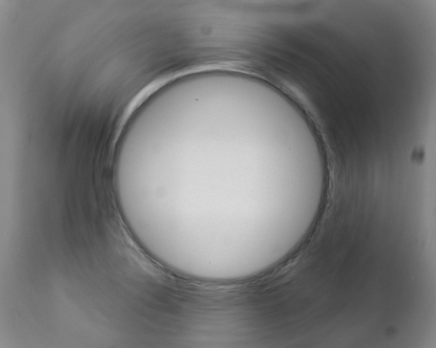 X0000112861324200908211045