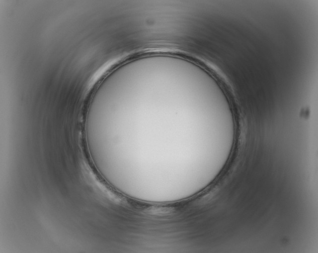 X0000112861325200908211046