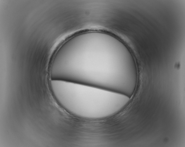 X0000112861327200908211046
