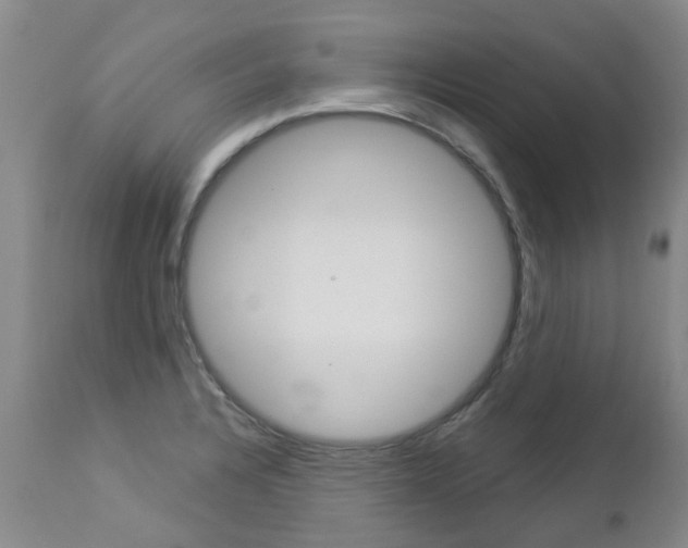 X0000112861328200908211046
