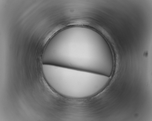 X0000112861329200908211046