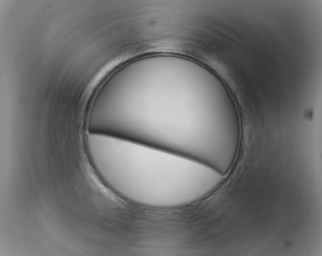 X0000112861331200908211046