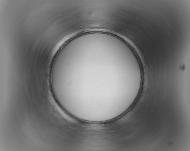 X0000112861333200908211046