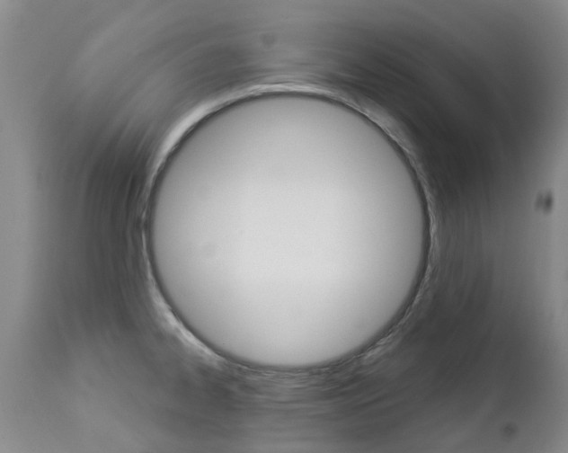 X0000112861334200908211046