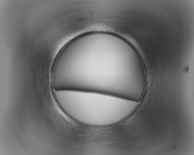 X0000112861335200908211046