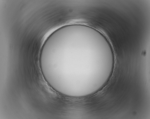 X0000112861336200908211046