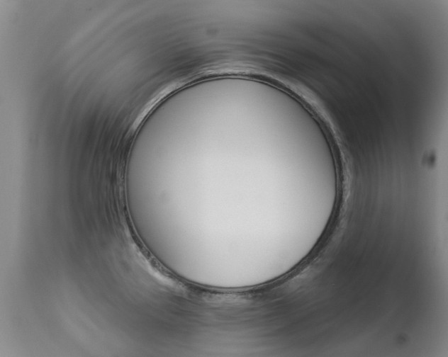 X0000112861337200908211046