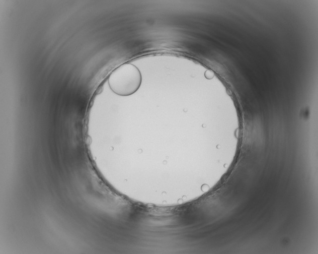 X0000112861338200908211046