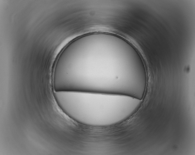 X0000112861339200908211046
