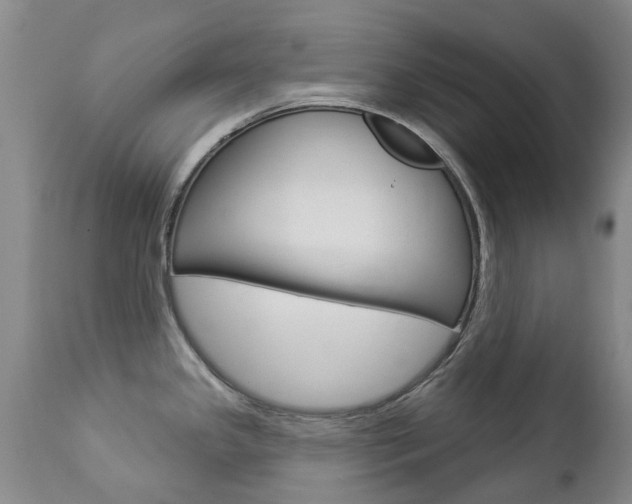 X0000112861341200908211046