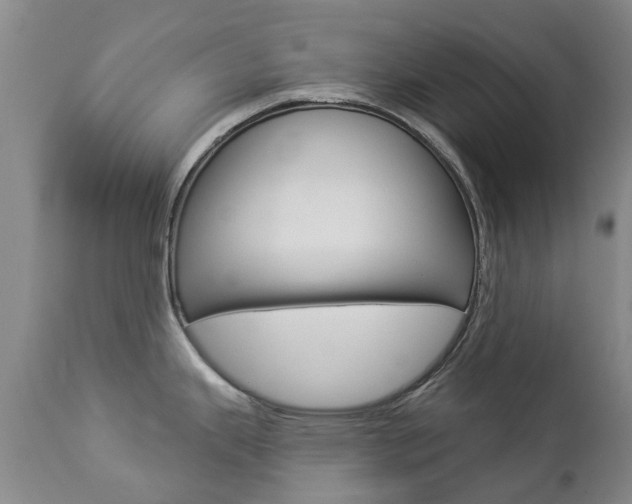 X0000112861343200908211046