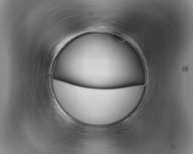 X0000112861344200908211046