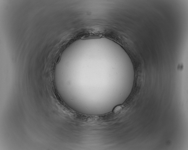 X0000112861345200908211045