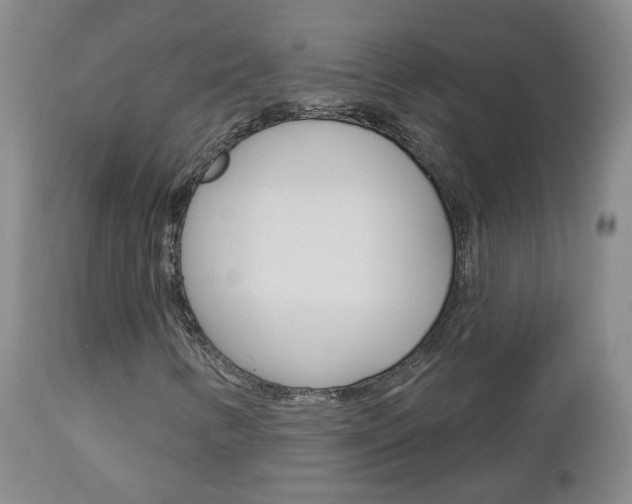 X0000112861346200908211045